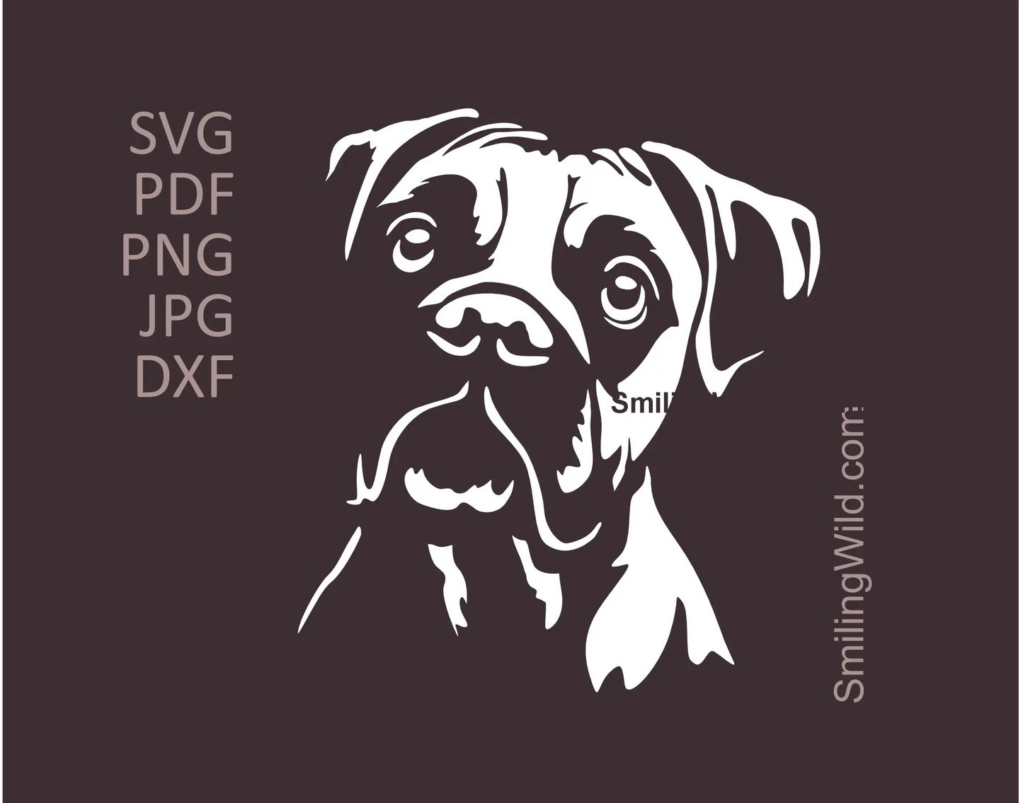Boxer dog head SVG vector frontal image presenting white dog clipart 