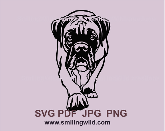 walking boxer dog clip art design made for application needs