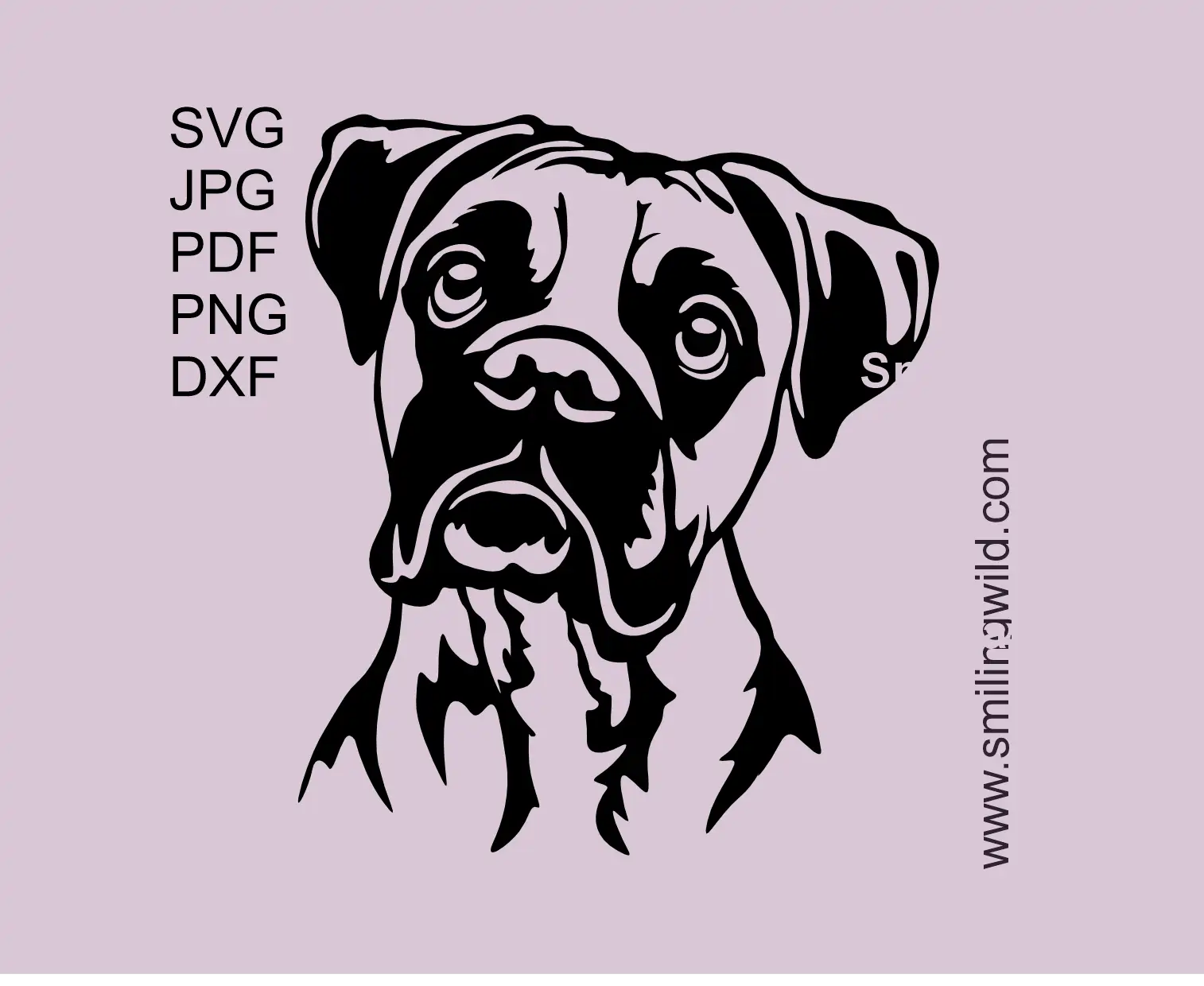 Boxer dog portrait with curious eyes presenting a SVG clipart vector cut file design 
