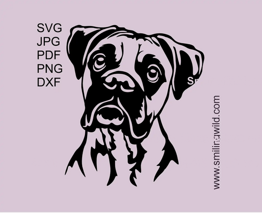 Boxer dog portrait with curious eyes presenting a SVG clipart vector cut file design 
