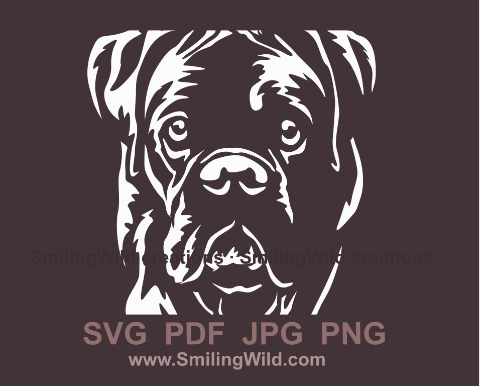 boxer dog vector portrait in white color close up