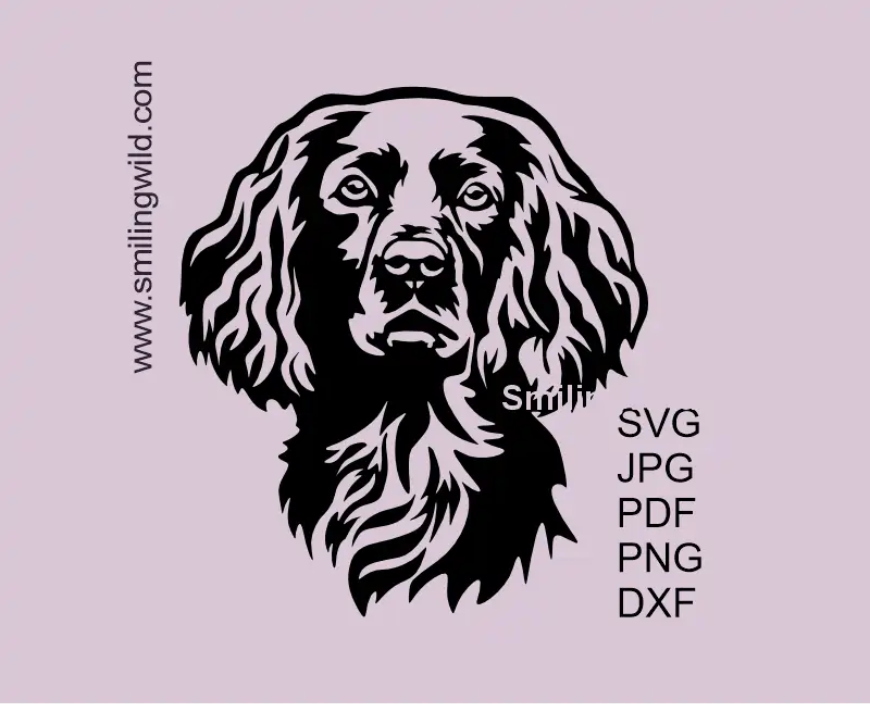 Boykin Spaniel head portrait SVG vector clipart design preview of an American hunting dog