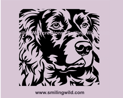 boykin spaniel head close up