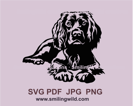 lying and peekong boykin spaniel in graphic art