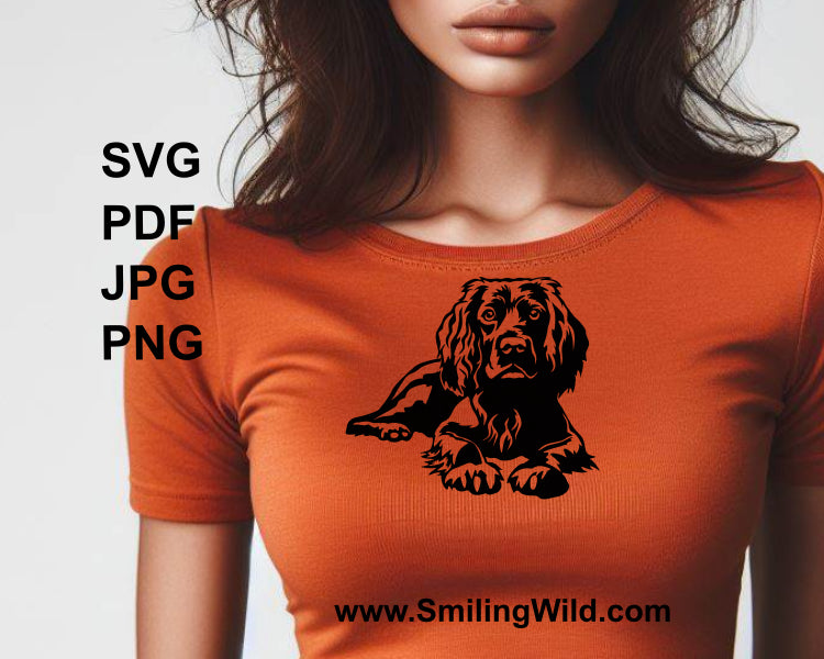 boykin spaniel print on t-shirt