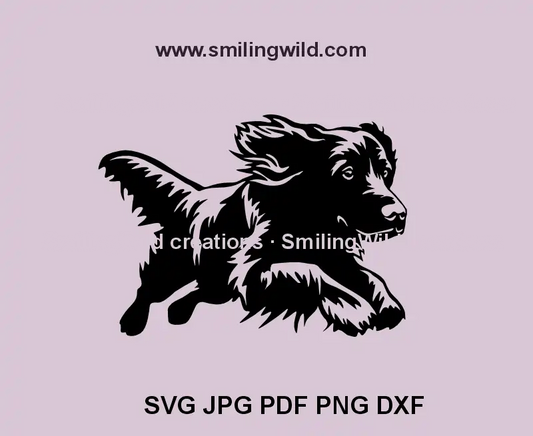 Realistic running Boykin Spaniel SVG for Cricut and laser cutting projects