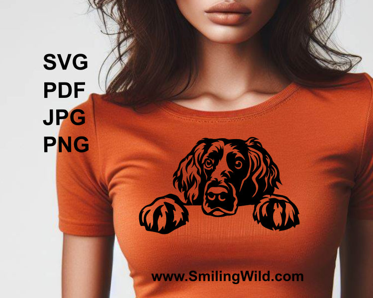 Peeking Boykin spaniel svg cuttable file, gun dog svg clip art