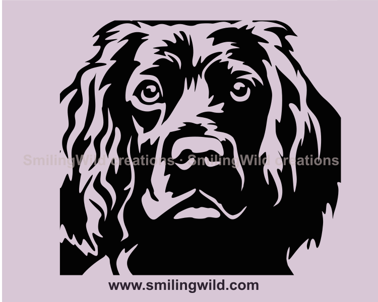 boykin spaniel face close up inspiration