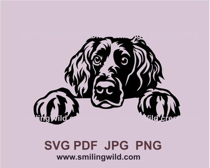 Peeking Boykin spaniel svg cuttable file, gun dog svg clip art