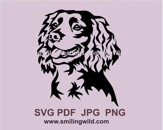 Smiling boykin spaniel face