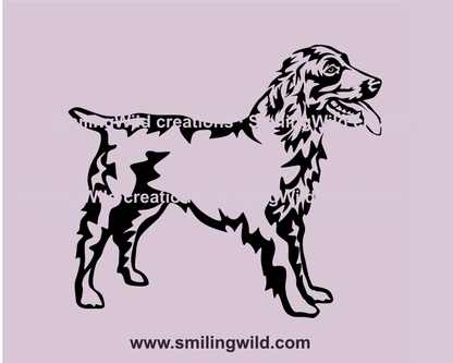 Boykin spaniel full body profile