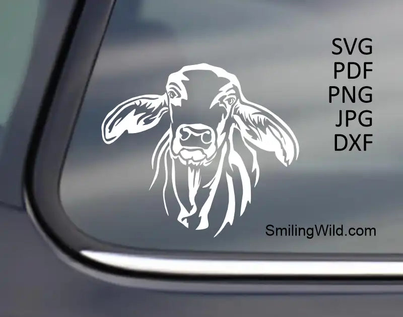 Brahman Cow White Vector Art applied to a dark car window, demonstrating high contrast and design quality of svg png and dxf files for cutting needs.