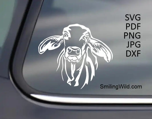 Brahman Cow White Vector Art applied to a dark car window, demonstrating high contrast and design quality of svg png and dxf files for cutting needs.