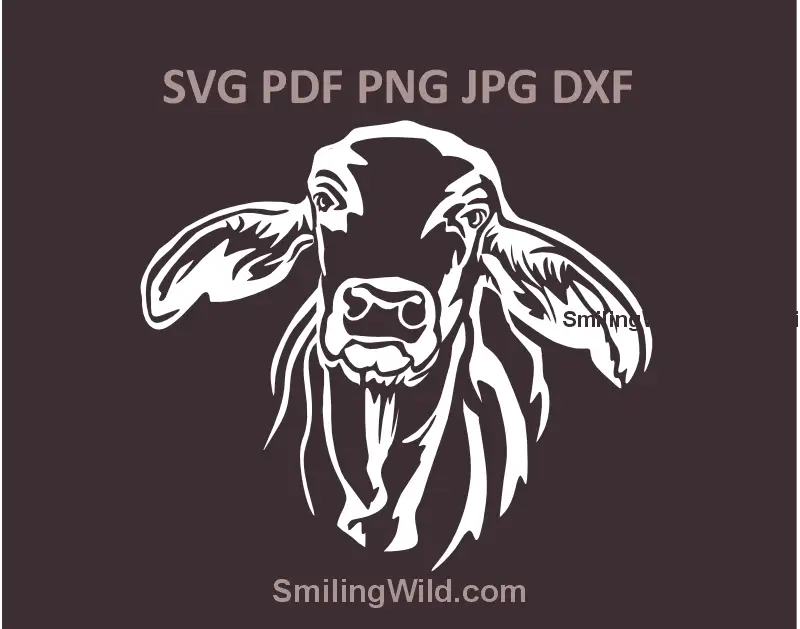 Brahman Cow SVG White Vector Art Cattle Clipart. Farm animal graphic optimized for Cricut cutting