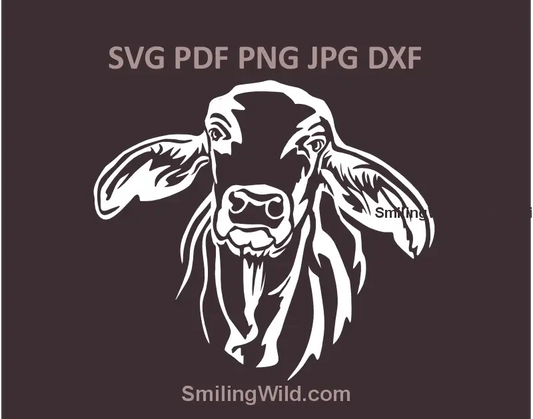 Brahman Cow SVG White Vector Art Cattle Clipart. Farm animal graphic optimized for Cricut cutting