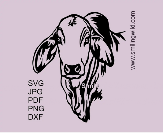 Brahman cow head SVG vector clipart SVG design preview