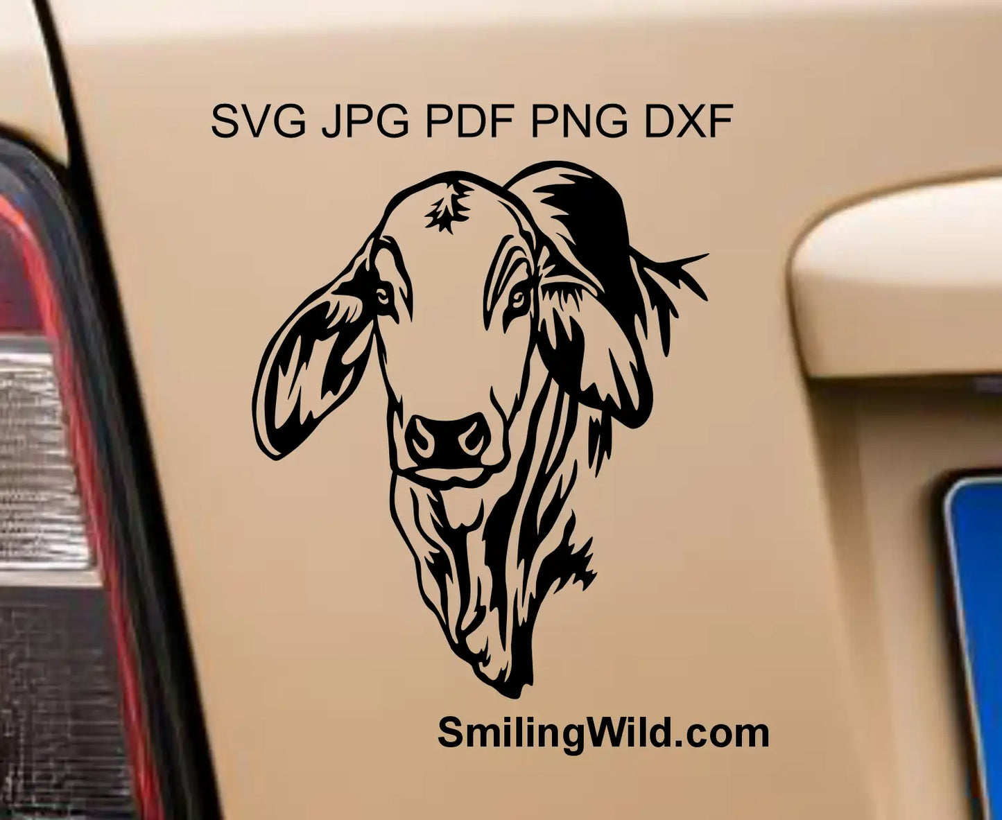 Brahman Cow png Vector graphic head portrait shown as a car sticker