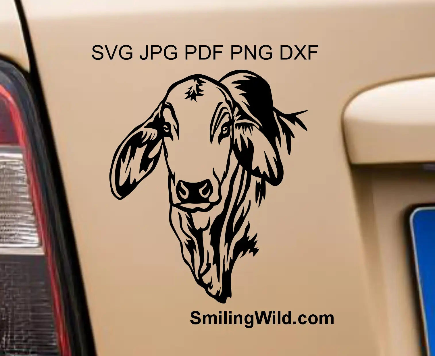 Brahman Cow png Vector graphic head portrait shown as a car sticker