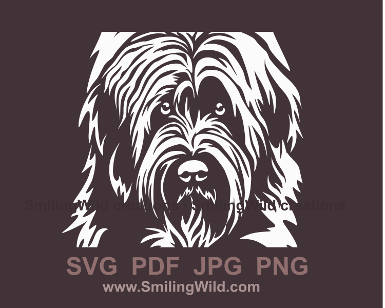 Briard face white image in vector art