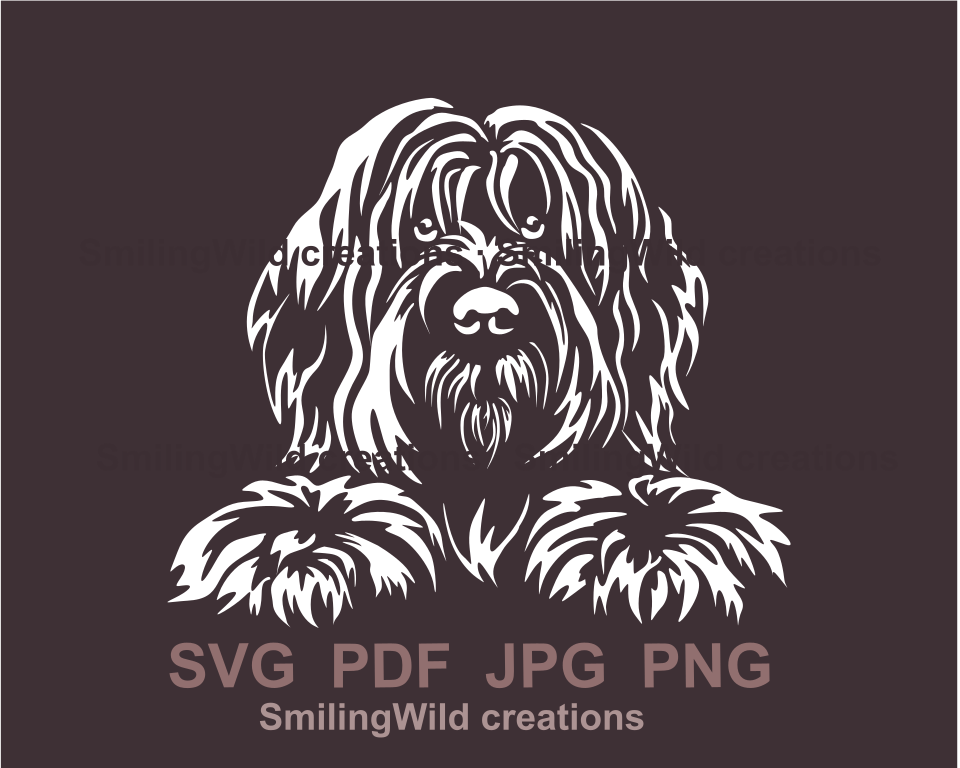 peeking briard clip art design in a white color with his paws in front