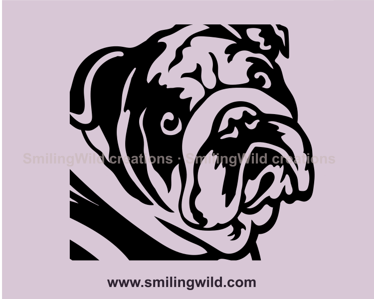 Enlgish bulldog portrait