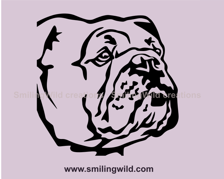 english bulldog close up portrait made as vector image