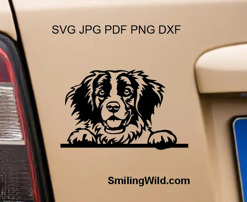 Preview image for a Peeking Brittany Spaniel black vector clipart graphic in png and dxf