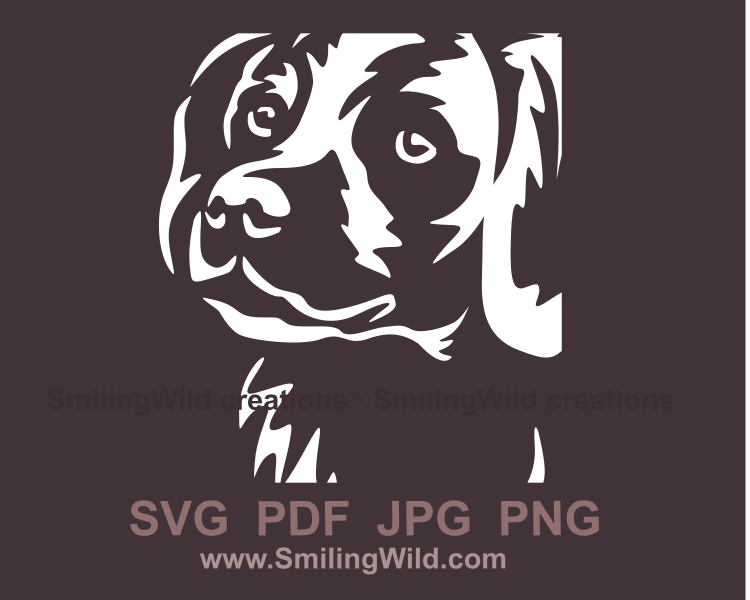 Brittany spaniel white graphic application