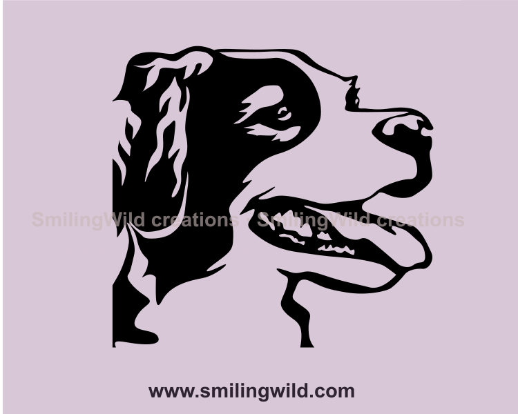 brittany spaniel graphic art close up portrait