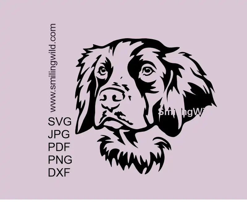 Brittany Spaniel dog face SVG PNG DXF vector clipart for cutting and engraving