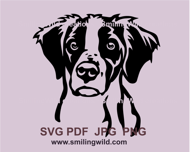 Brittany spaniel graphic clip art head image in black color