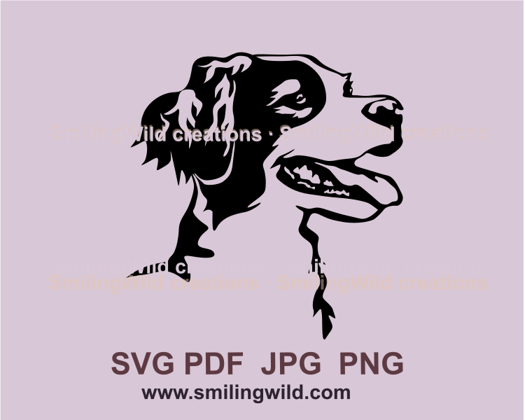 Brittany spaniel vector profile