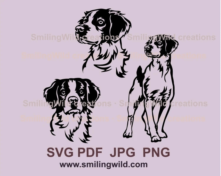 Three variations of brittany spaniel - full body and two faces