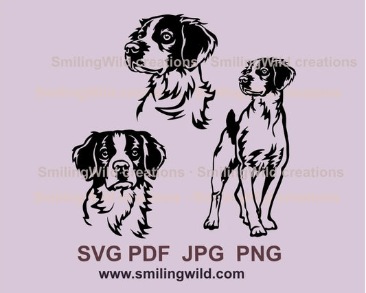 Three variations of brittany spaniel - full body and two faces