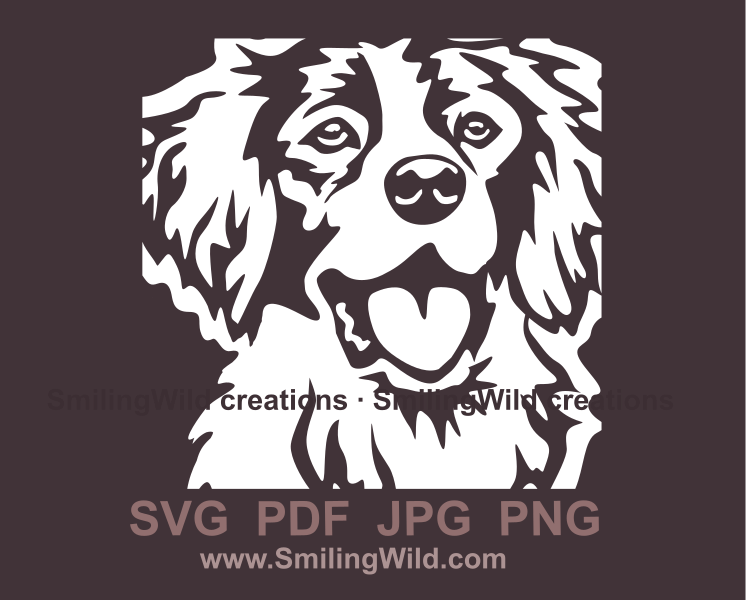 brittany spaniel graphic vector art sample in white color