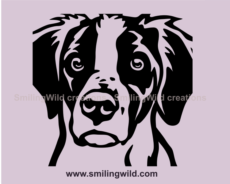 Brittany spaniel vector clip art face in a close up drawing