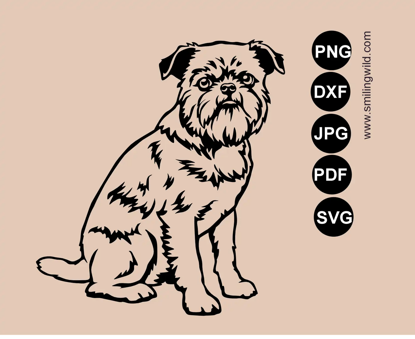 Full-body preview of a sitting Brussels Griffon SVG, PNG and DXF graphic cut file showing detailed dog vector artwork.