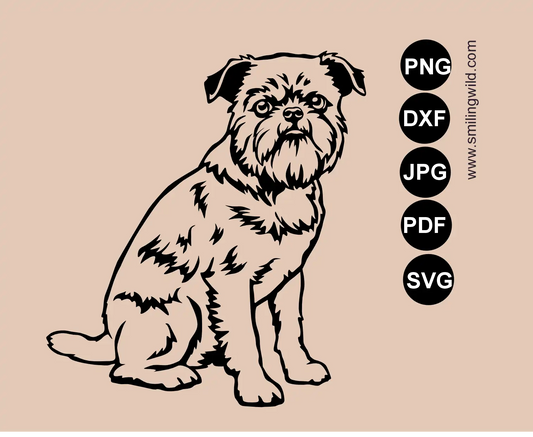 Full-body preview of a sitting Brussels Griffon SVG, PNG and DXF graphic cut file showing detailed dog vector artwork.