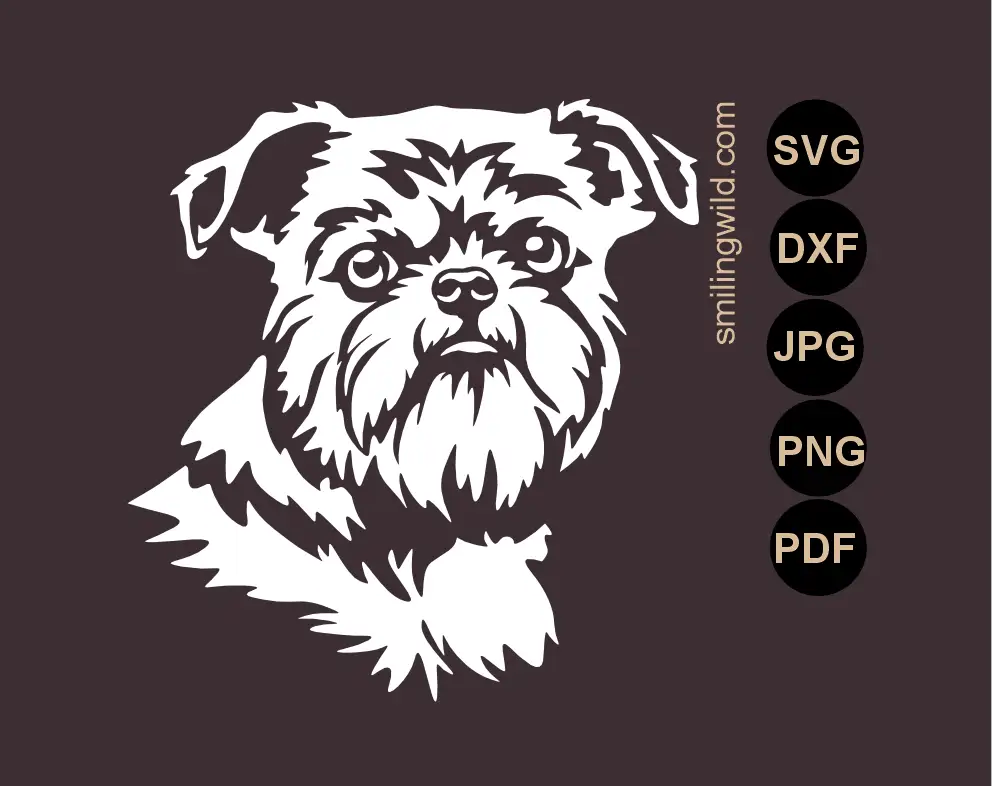 Almost Frontal view of a Brussels Griffon  white vector cut file portrait in SVG, PNg and dxf cutting files displayed as detailed artwork on dark  background.