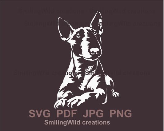 Lying miniature bull terrier with allert face expression in white graphic image