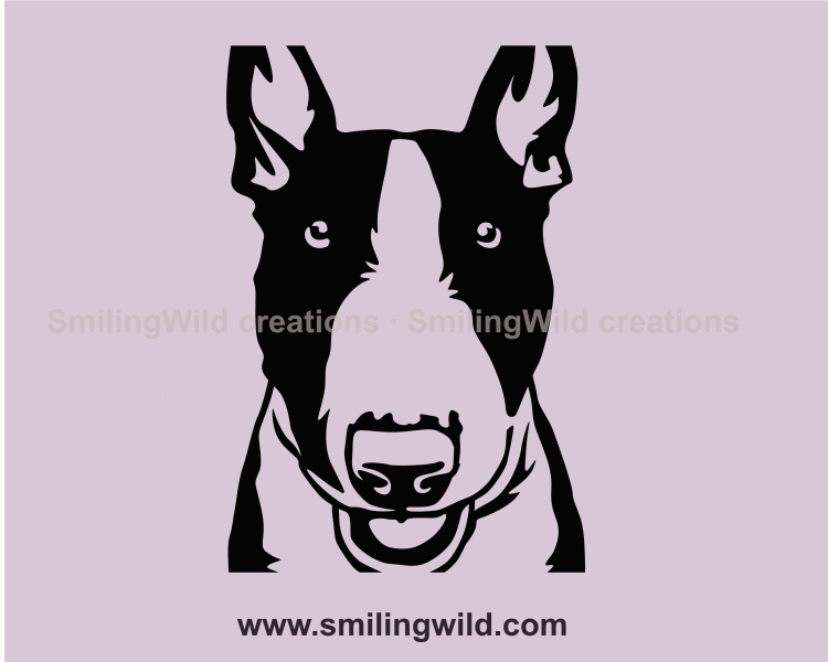 bull terrier vector graphic close up position
