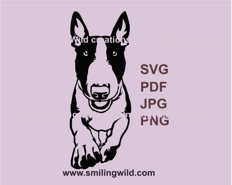 a graphic svg type image of a running bull terrier that runs closer