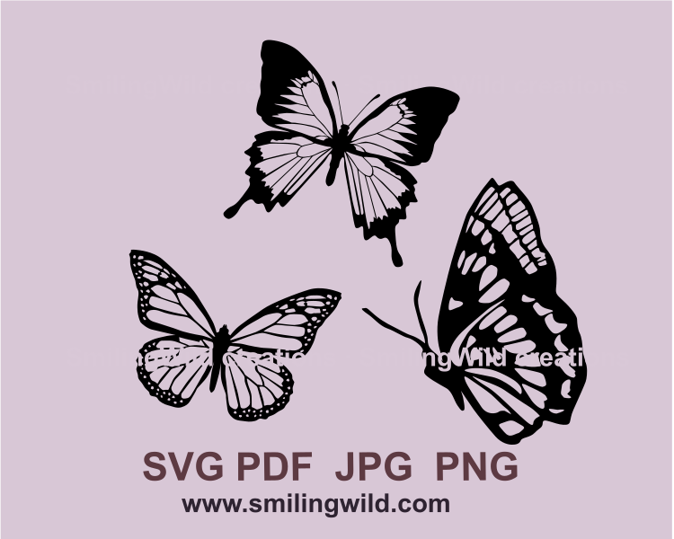 Three butterfly drawings made in black graphic art for clip art use