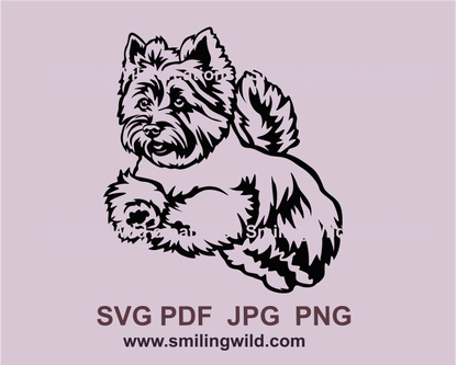 digital drawing of jumping cairn terrier