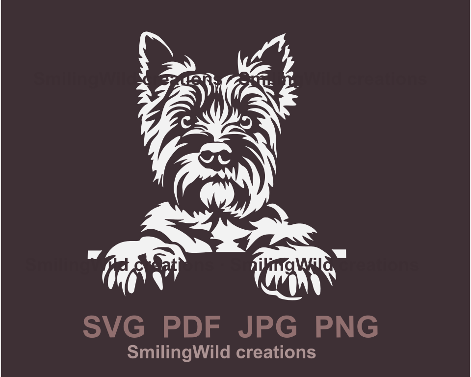 cairn terrier peeking and showing it's paws is made in a white clip art style