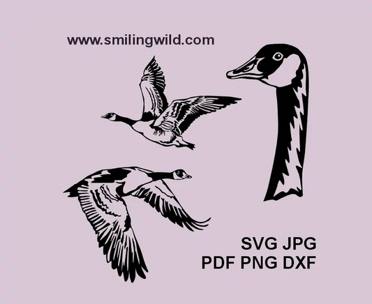  Flying Canada Goose SVG, png and dxf digital drawings for nature-themed Cricut and laser projects showcaseing a head portrait and two flying bird in various positions
