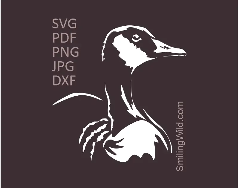 Canada Goose Clipart SVG, PNG, DXF files. Detailed canada bird vector graphic optimized for Cricut cutting