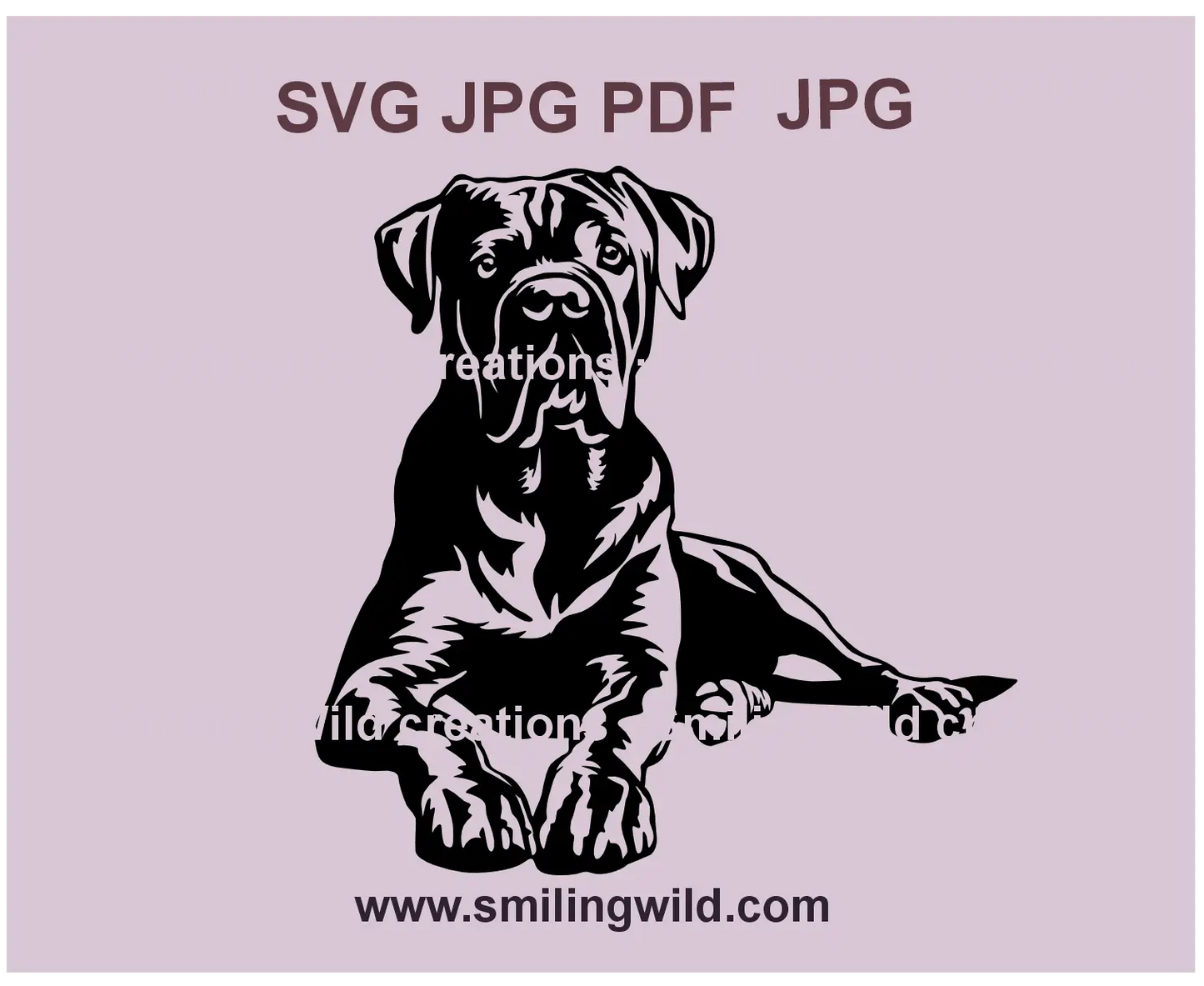 Cane Corso dog SVG portrait, realistic vector design for Cricut crafts and laser cutting