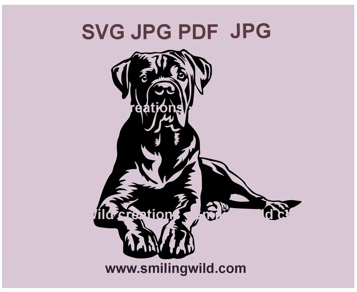 Cane Corso dog SVG portrait, realistic vector design for Cricut crafts and laser cutting