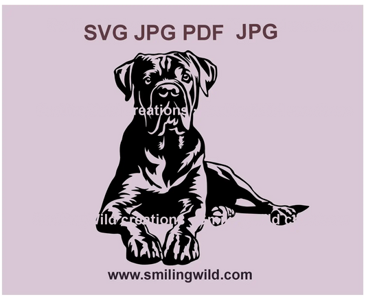 Cane Corso dog SVG portrait, realistic vector design for Cricut crafts and laser cutting